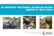 Presentación IV Estudio Nacional de Salud Bucal ENSAB 2013 - 2014
