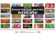 Manual de Buenas Practicas Agricolas en la Cadena del Tomate