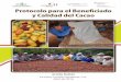 Protocolo para el Beneficiado y Calidad del Cacao