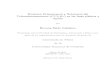 Dinámica Orientacional y Rotacional del Triclorobromometano 