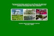 Caracterización química de fibras de plantas herbáceas utilizadas 
