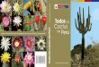 libro de Cactus del Perú