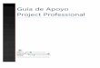 Guía de Apoyo Project Professional