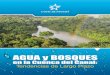 Agua y Bosques en la Cuenca del Canal: Tendencias de Largo Plazo