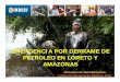 emergencia por derrame de petroleo en loreto y amazonas