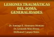 Lesiones Traumáticas del SOMA. Generalidades