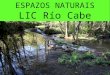 LIC Río Cabe-