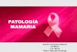 Patología mamaria