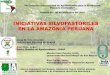 Revisión de Iniciativas Silvopastoriles en la Amazonía Peruana