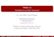 TEMA I.5 - Velocidad de una Onda Transversal
