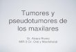 Tumores y pseudotumores de los maxilares