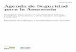 Agenda de Seguridad para la Amazonia (620.67 kB)