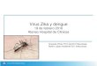 Virus Zika y dengue