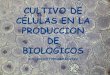 Tecnología de cultivos celulares en investigación, producción de 