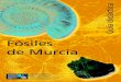 Guía Didáctica - Fósiles de Murcia