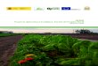 Proyecto Agricultura Ecológica, Fuente de Empleo Rural