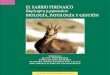 EL SARRIO PIRENAICO Rupicapra p.pyrenaica: BIOLOGÍA 