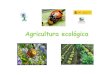 Curso de Agricultura Ecológica