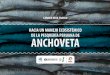 Hacia un manejo ecosistémico de la pesquería de anchoveta peruana