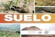 Procesos de degradación del suelo en México: erosión eólica e 
