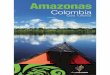 Descargar en PDF - Amazonas