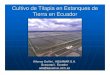 ISTA 7 - Cultivo de Tilapia en Ecuador
