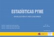 Estadísticas Pyme, Evolución e indicadores