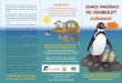 Triptico pingüino de Humboldt