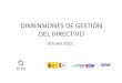 DIMENSIONES DE GESTIÓN DEL DIRECTIVO