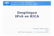 Despliegue IPv6 en RICA