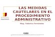 ENJ-100 Las Medidas Cautelares en el Procedimiento Administrativo