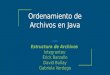 Ordenamiento de Archivos en Java