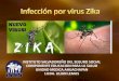 Infección por virus zika