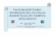 PALEOMAGNETISMO: INVERSION DE LOS POLOS MAGNETICOS 