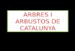 Arbres i arbustos de Catalunya