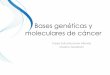 Bases genéticas y moleculares de cáncer