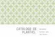 Catálogo de plantas para espacios abiertos