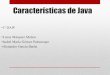 Características Java