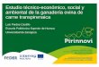09 pirinnovi Estudio técnico-económico, social y ambiental de la ganadería ovina de carne transpirenaica