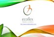 Ecoflex - Presentation