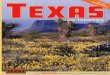Guía turística Texas