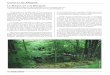 La magia de los bosques.pdf