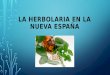 LA HERBOLARIA EN NUEVA ESPAÑA