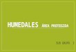 Humedales Uruguay