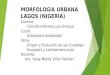 Morfología Urbana -  Lagos, Nigeria