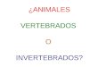 Animales vertebrados de la Sabana