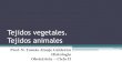 Tejidos vegetales y animales