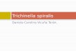 Parasitologia - Trichinella spiralis