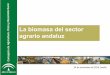 "La biomasa del sector agrario andaluz", por Mar Cátedra, Dirección General de Producción Agrícola y Ganadera. Consejería de Agrícultura, Pesca y Desarrollo Rural