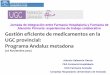 Gestión eficiente de medicamentos en la UGC de Farmacia de Granada: avances en fabricación de metadona. Ponencia del Dr. Anrtonio Salmerón